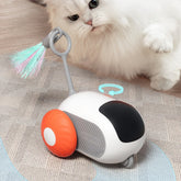 đồ chơi cho mèo điều khiển từ xa